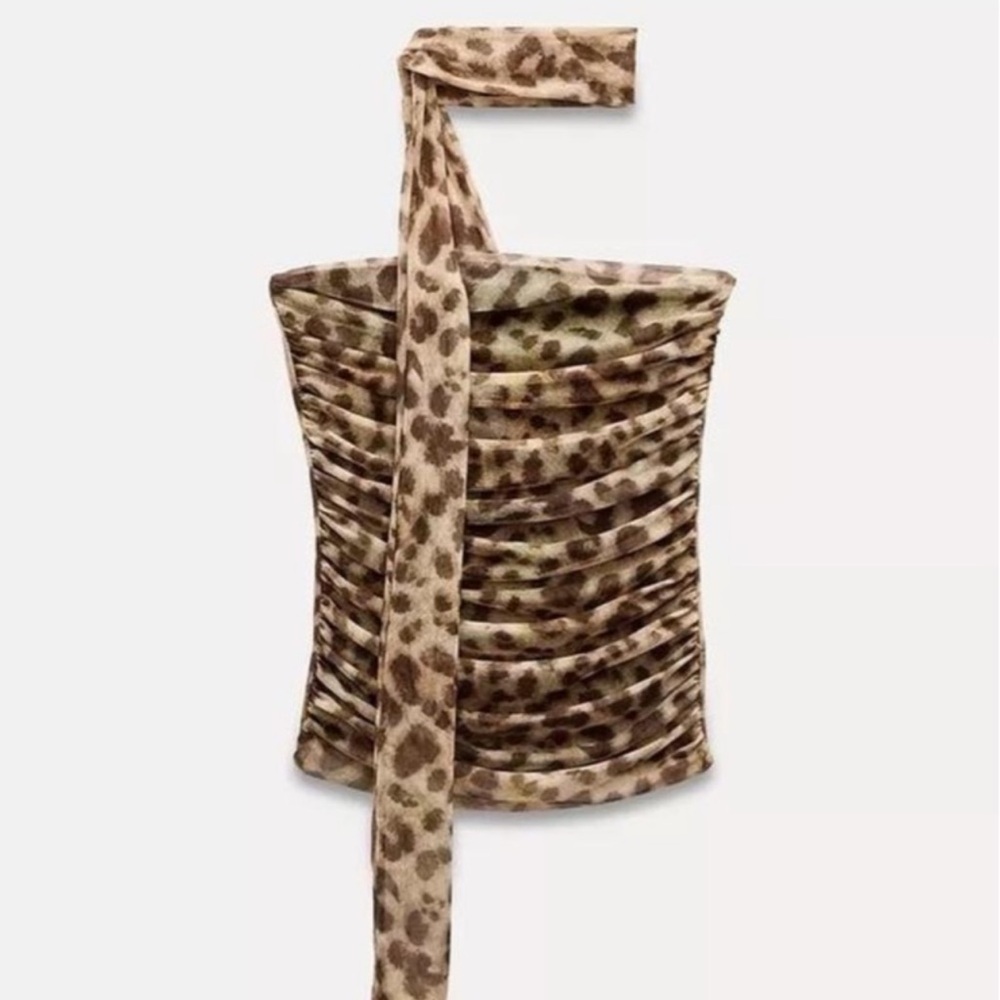 Zara Leopard Print Strapless Top